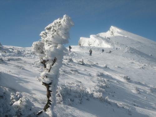 Ganeko  27-1-06