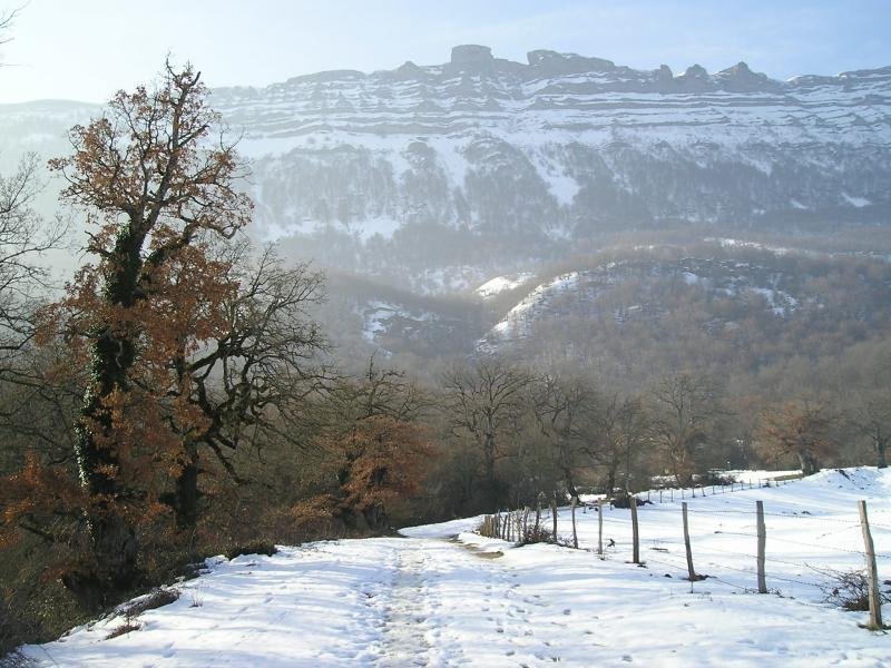 beriain