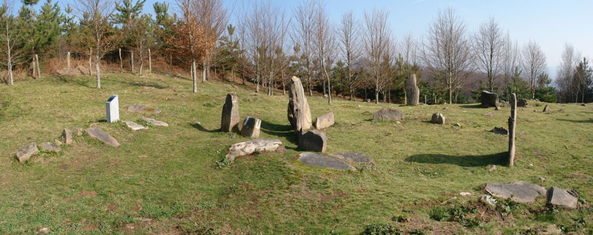 Muniskue
