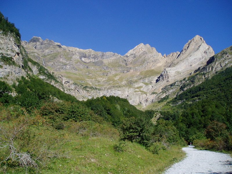 Pinetako zirkua