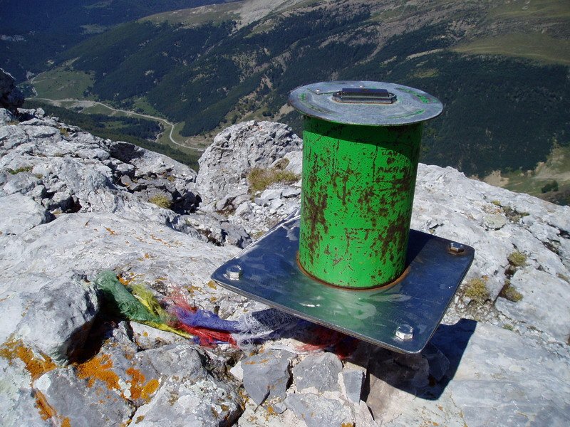 Buzoia