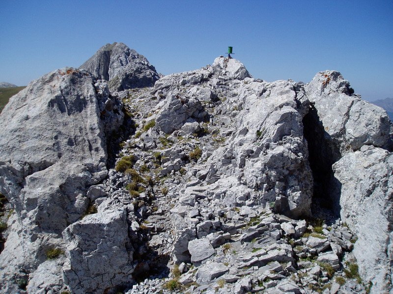 Tontorra