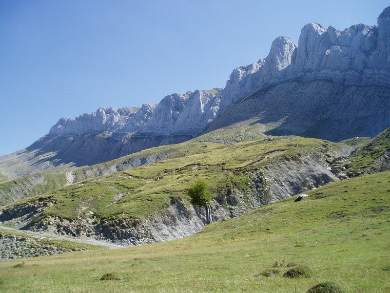 Alanoen ikuspegia