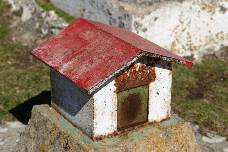 Buzoia