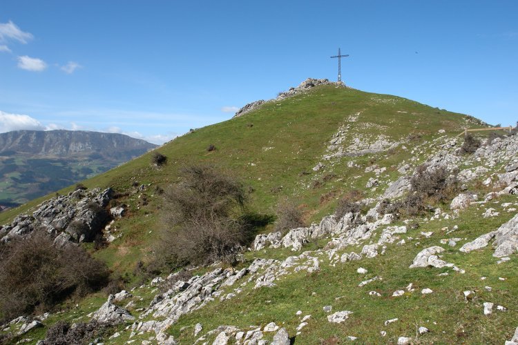 Tontorra