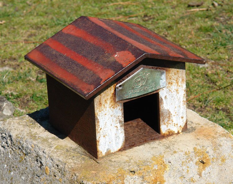 Buzoia