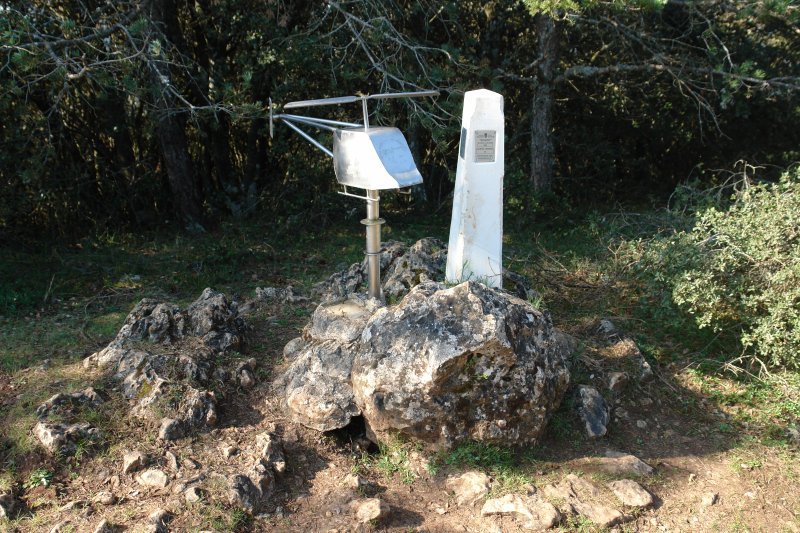 Tontorra