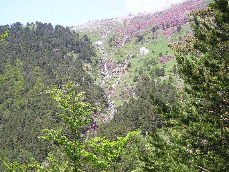 torrente