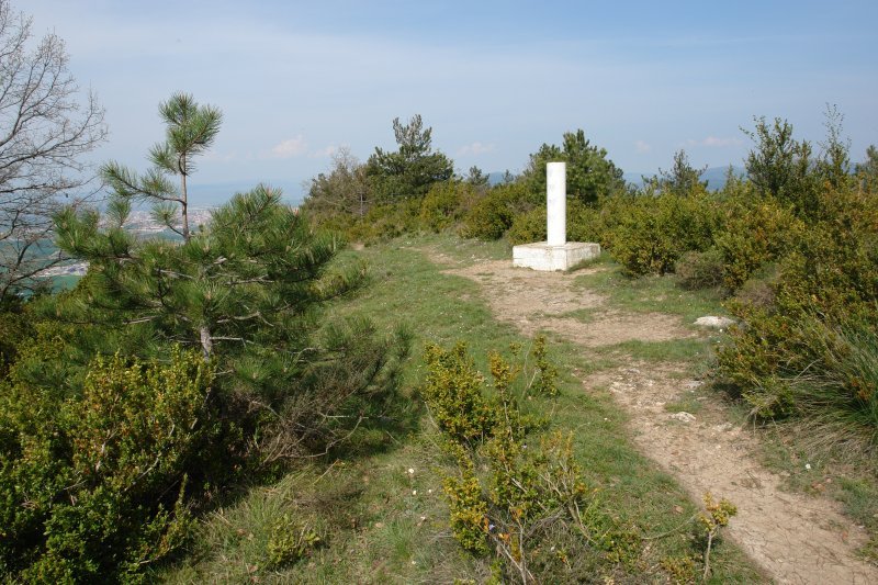 Malkaitz: tontorra