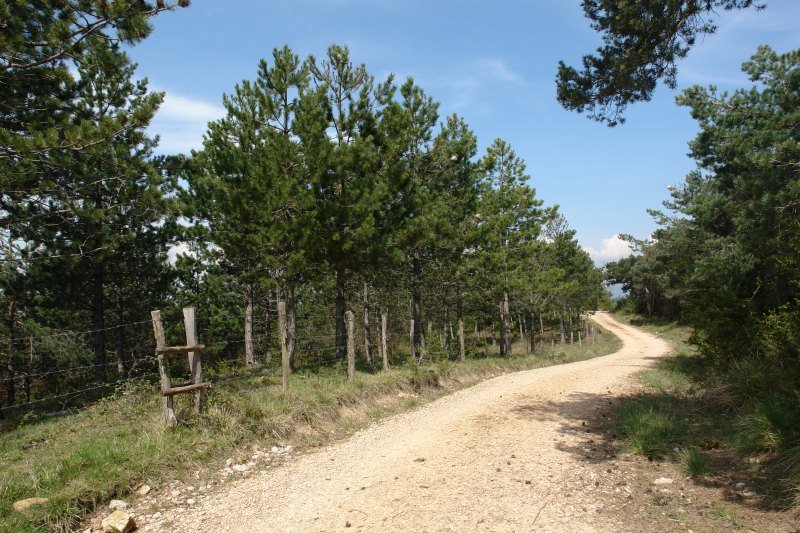 Tontorra