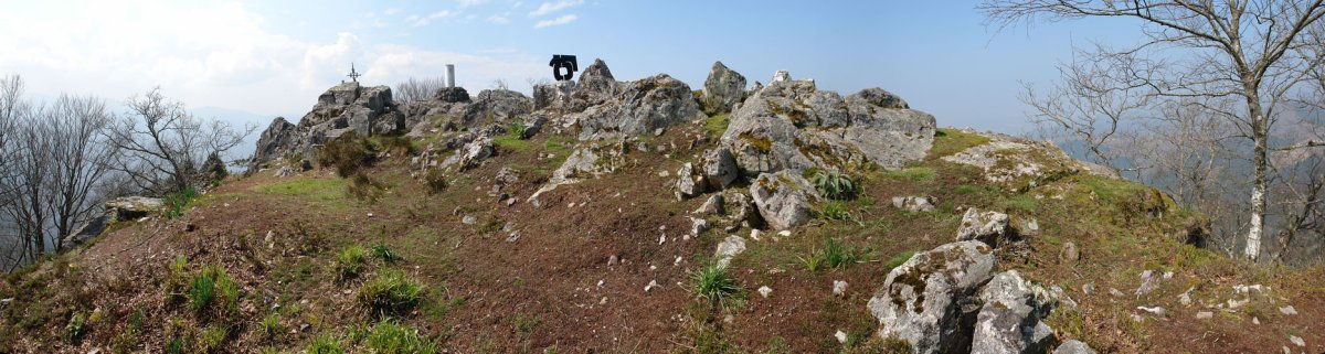 Tontorra