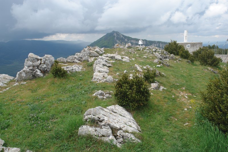 Tontorra