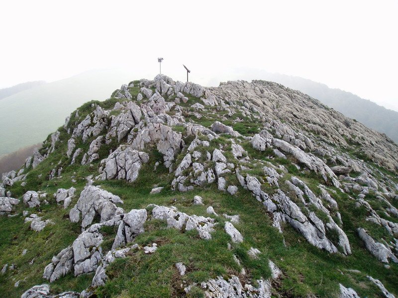 Tontorra