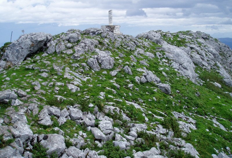 Tontorra