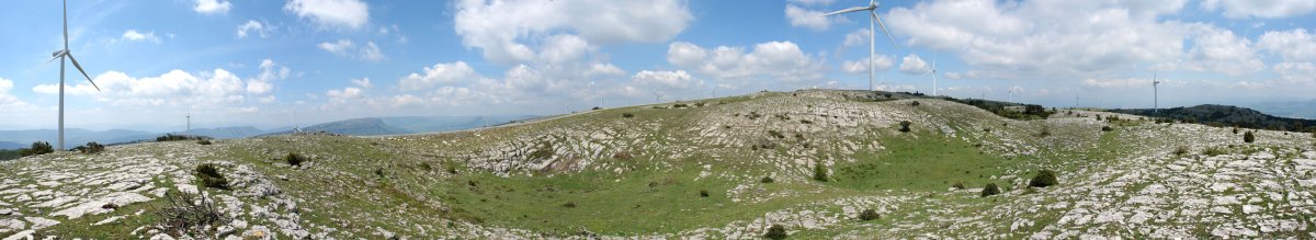 Tontorra