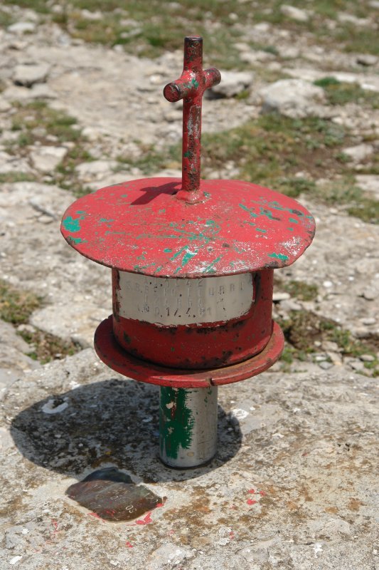 Buzoia