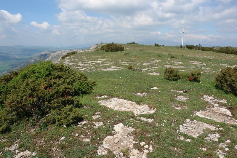 Pititurri gaina