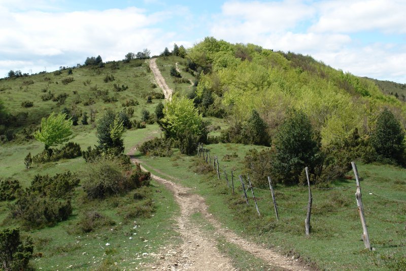 Ekialdeko bizkarra