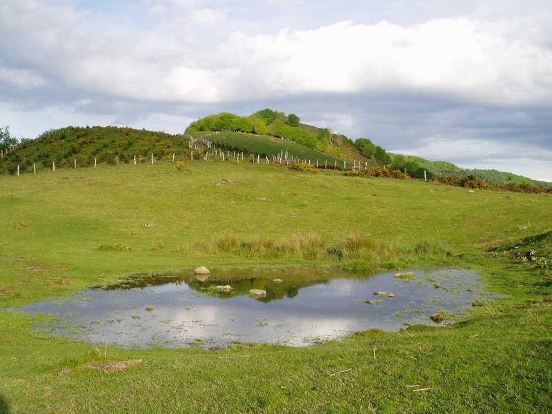 Iruiako putzua