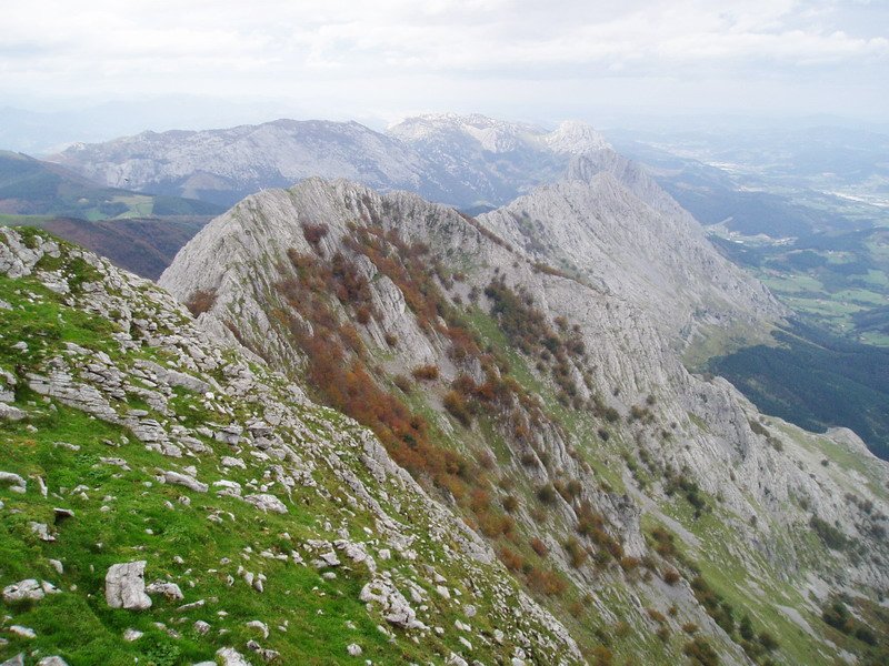 Anbototik ikusita