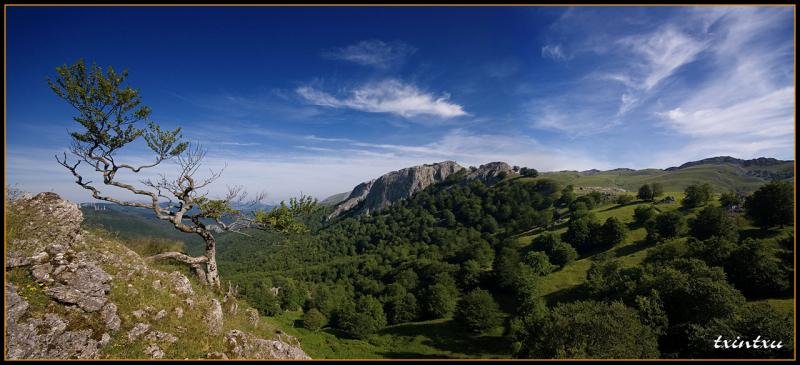 Urbia 