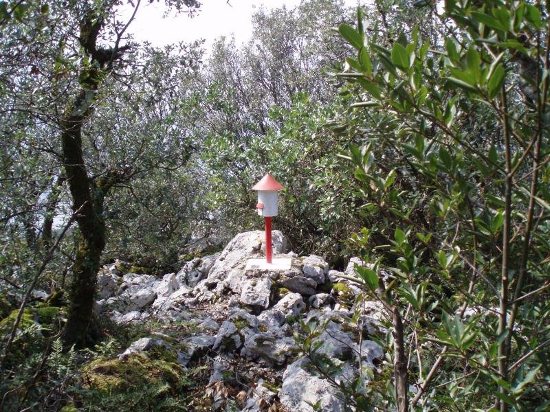 Marua-buzoia
