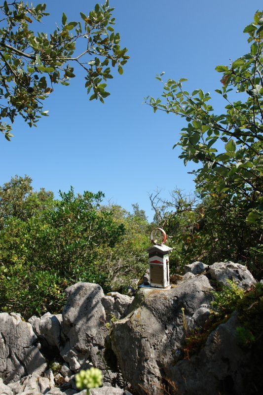 Tontorra