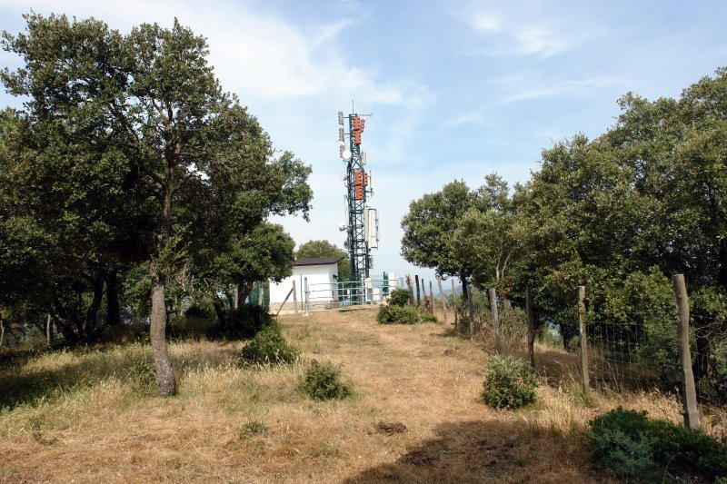 Tontorra