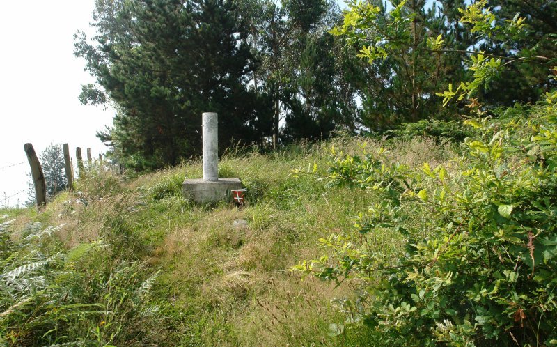 Tontorra