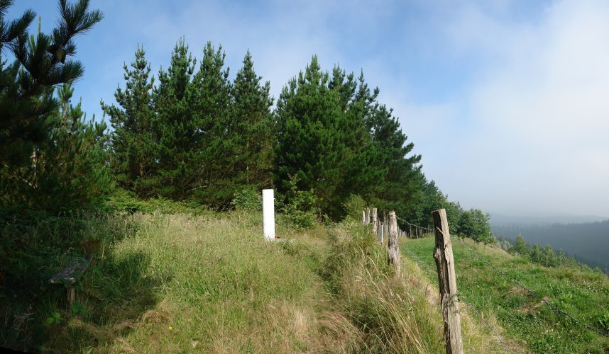Tontorra
