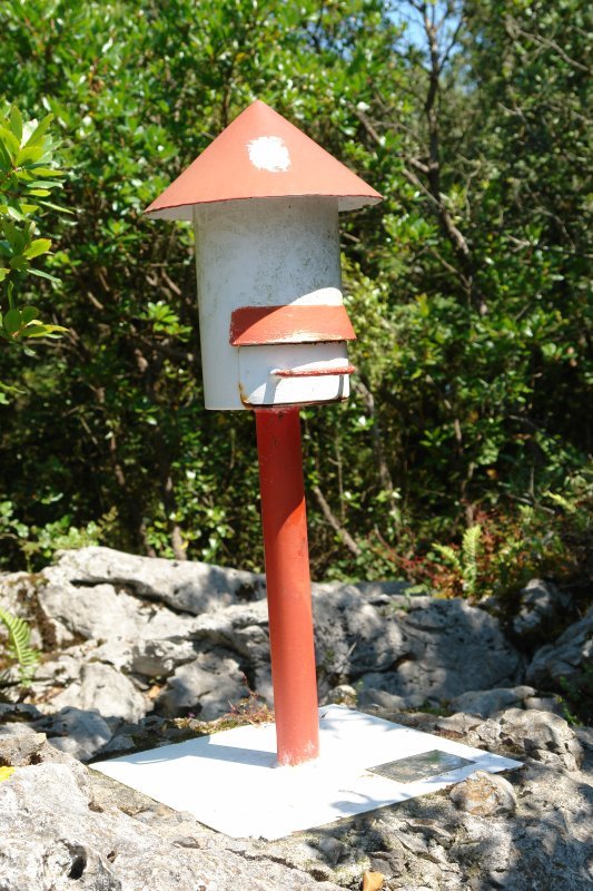 Buzoia