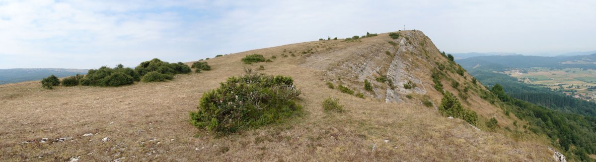 Tontorra Etik