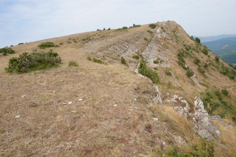 Tontorra Etik