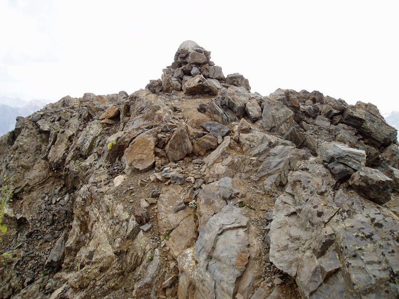 Tontorra