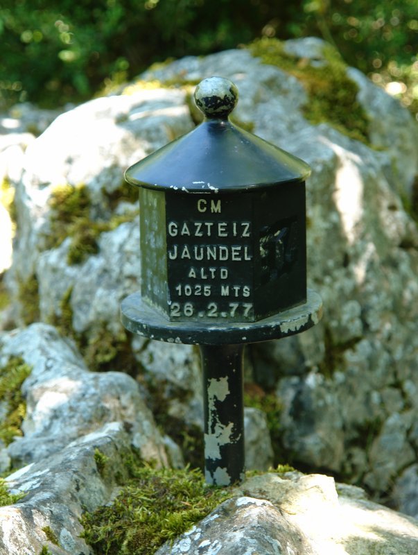 Buzoia