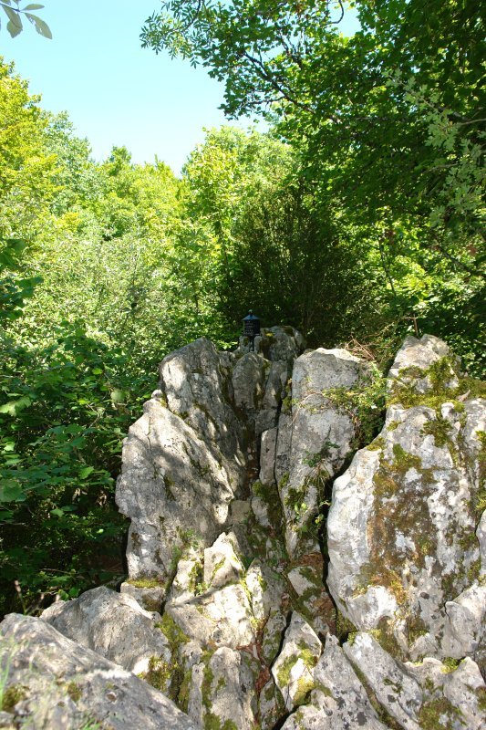 Tontorra