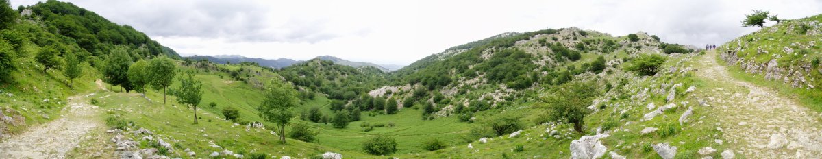 Lizerdiko sakana