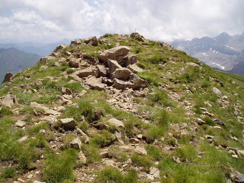 Tontorra