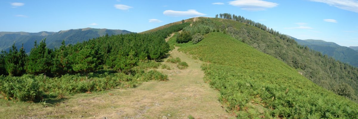 Tontorra ekialdetik