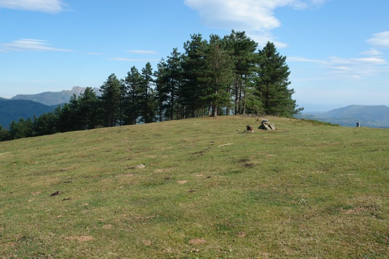 Tontorra