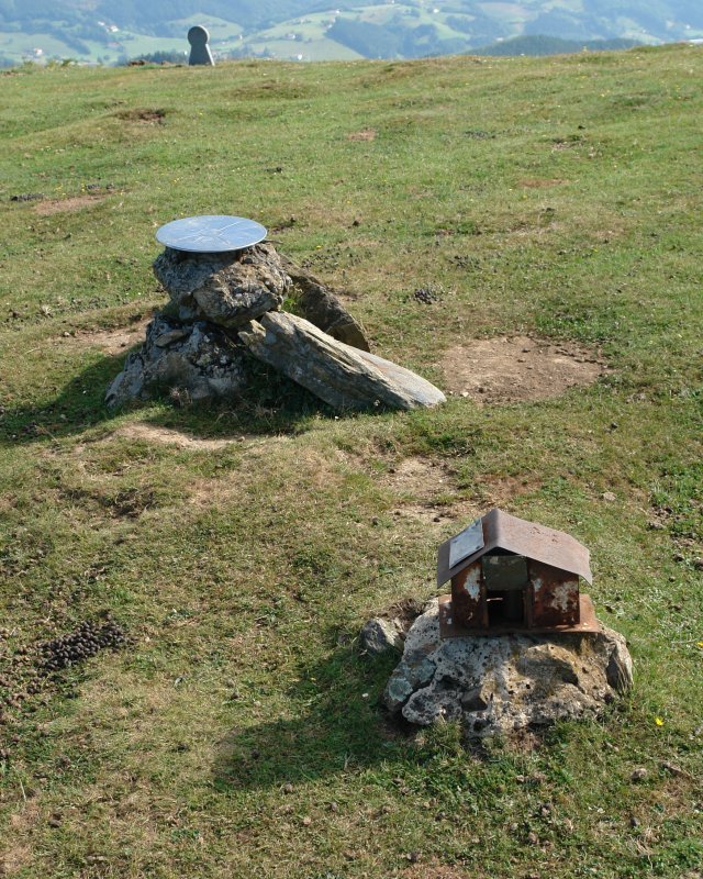 Buzoiak