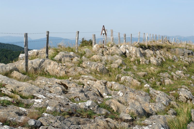 Tontorra