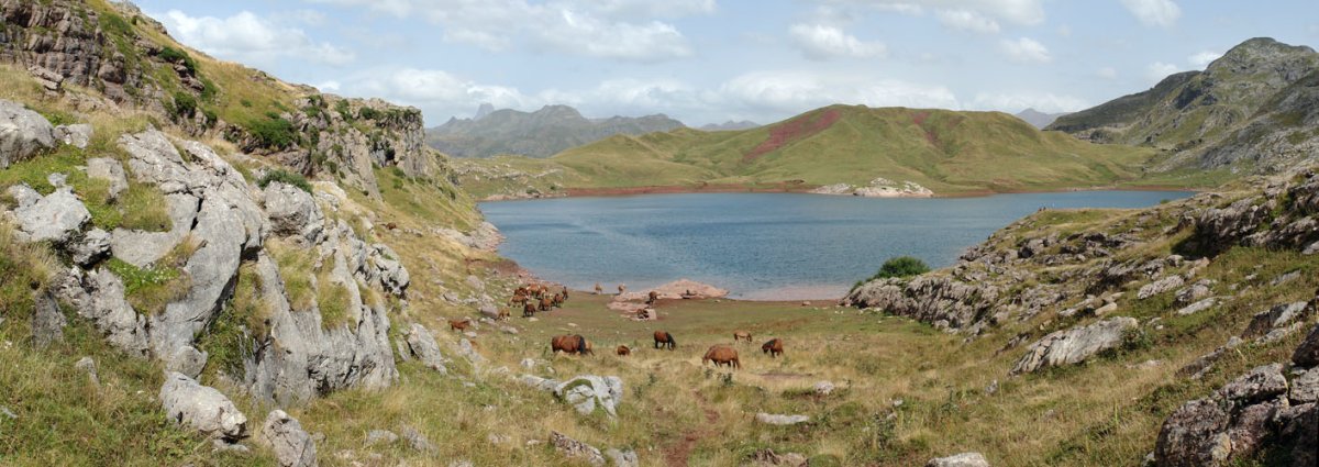 Estanes