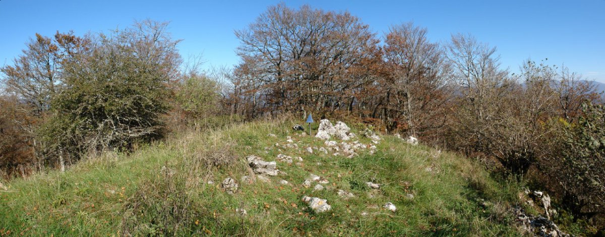 Tontorra
