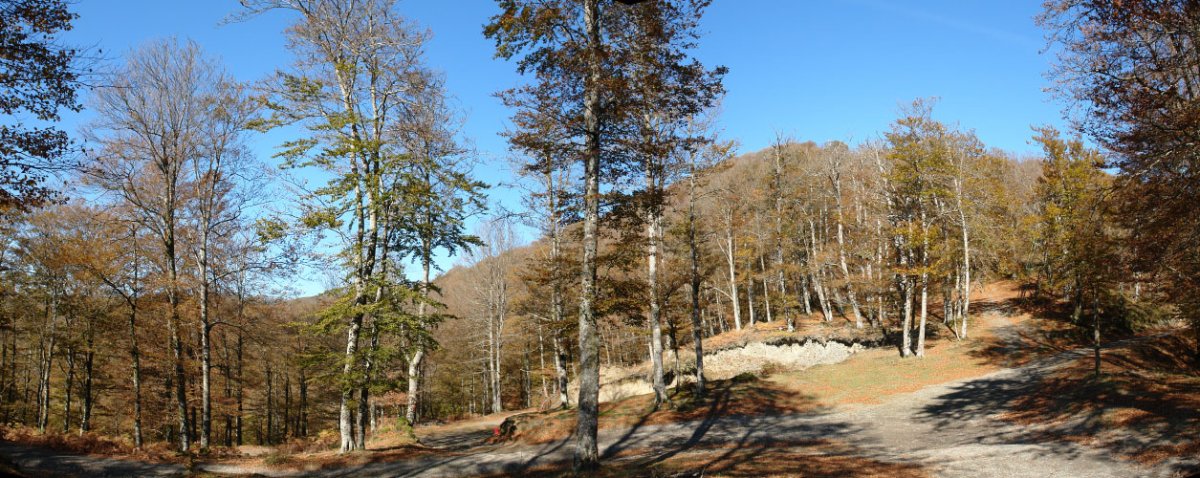 Uztakorta lepoa