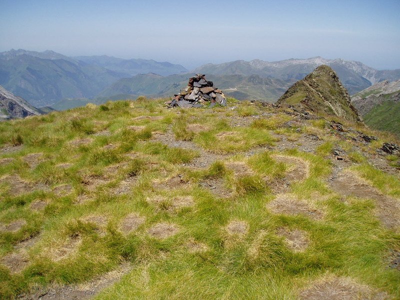 Tontorra
