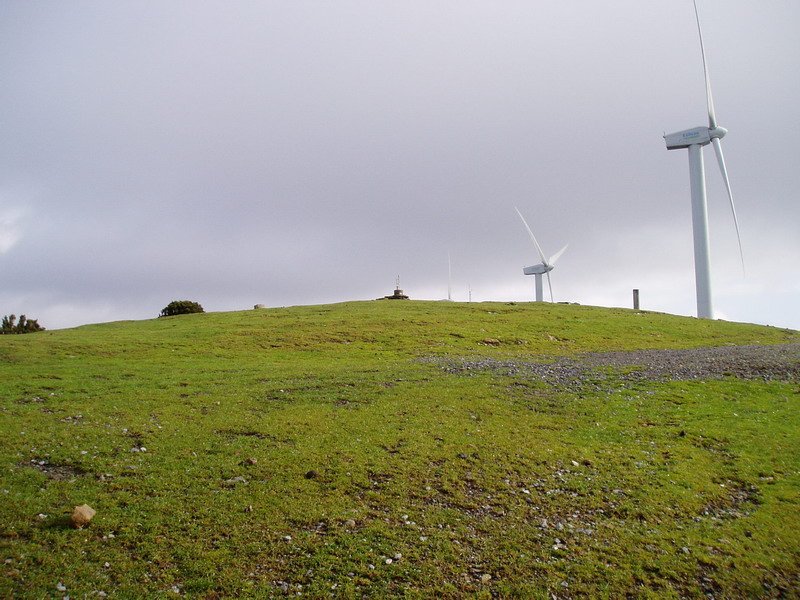 Tontorra
