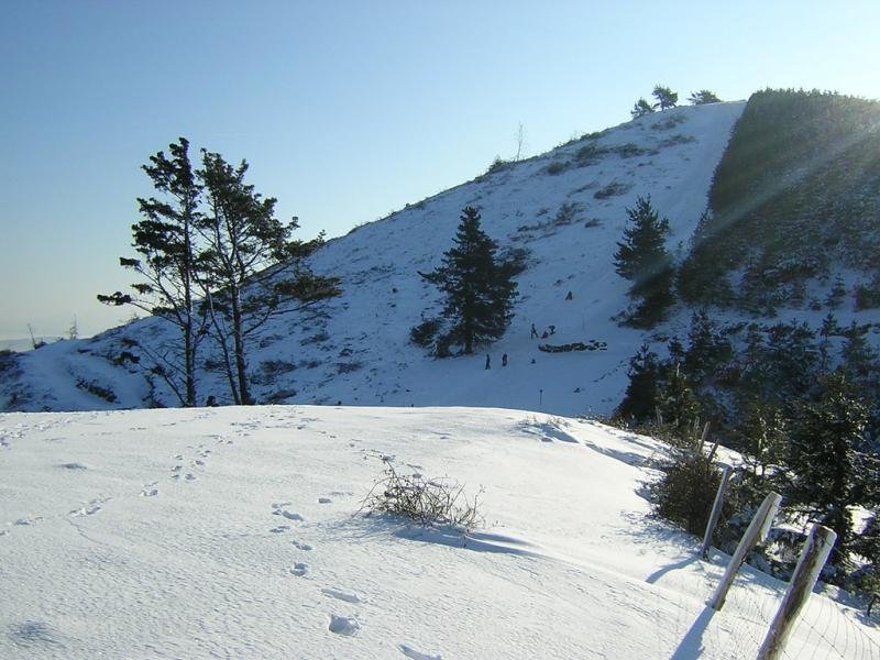 Pastorekorta