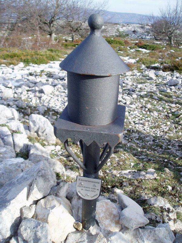 Buzoia