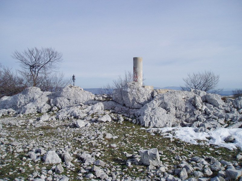 Tontorra